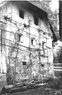 eika image